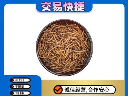 哈尔滨香坊区回收散虫草